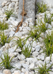 Kieselsteine im Gras