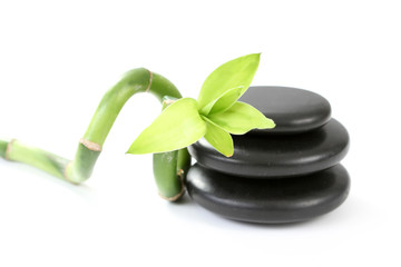 Obraz na płótnie Canvas black pebbles with green bamboo isolated on white