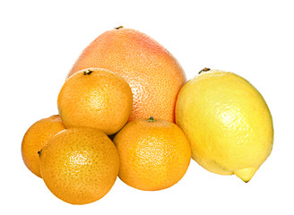 Grapefruit, lemon and tangerines on a white background.