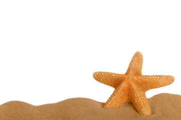 Fototapeta na wymiar Rozgwiazda w piasku dolnej ramki z pustej powyżej tekstu