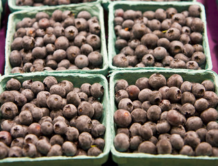 Baskets of fresh ripe blueberries at a fruit market