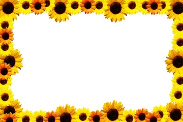 Wandcirkels plexiglas sunflowers frame © Elisheva Monasevich