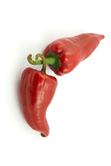 two red hot chili peppers on a white background