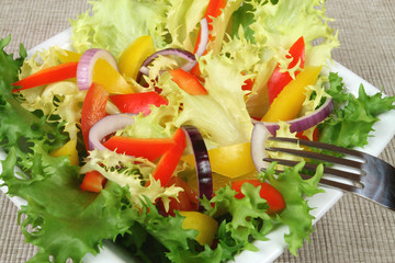 Colorful vegetable salad: onions, peppers, lettuce.