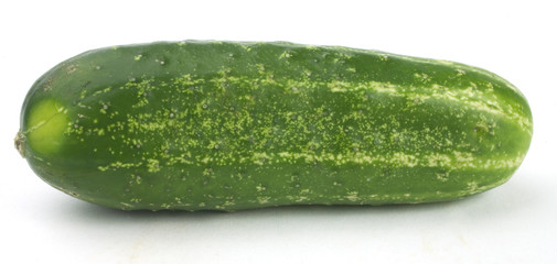 nice green fresh cucumber isolated over white