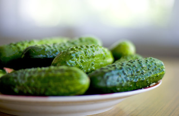 fresh cucumbers on a plate