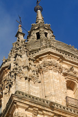 Fototapeta na wymiar Detalle de la catedral de Salamanca