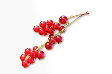 Johannisbeeren