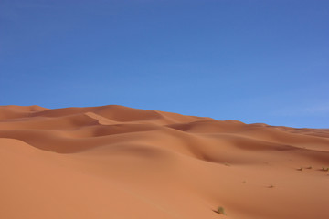 Fototapeta na wymiar dunes ocre et ciel bleu au maroc