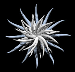 Abstract organic star form on black background - 3d illustration