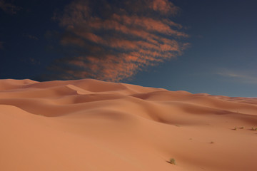 Fototapeta na wymiar dunes de sable ocre