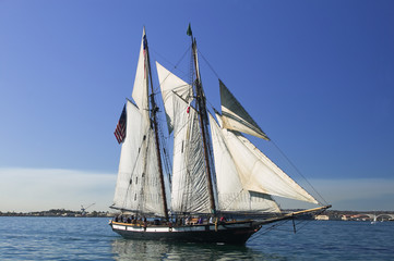 Tall Sailing Ship with shoreline in the background © RCP Photo