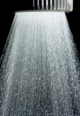 shower sprayer