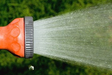 garden hose sprinkler spraying water