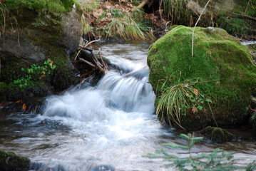 Wildbach