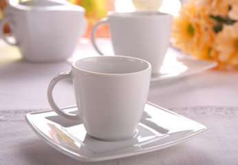 Beauty porcelain pottery
