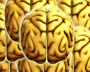 Brain Background 2