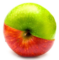 creative apple combined from two half of red and green color - 10532830