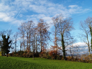 suisse pastorale