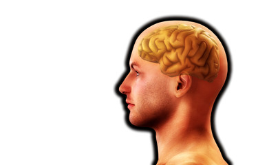 Profile Of Man With Brain 6