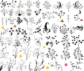 Floral vector element