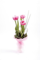 Three pink tulips in vase