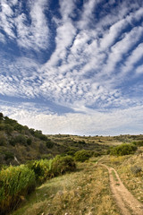 Fototapeta na wymiar lonley path in a valley in vadi nachal amud, Galilee Isreal
