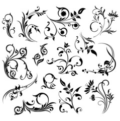 Abstract ornament illustration with floral design elements
