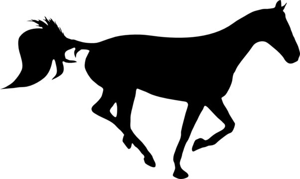 illustration of a horse running