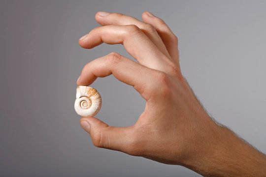 shell in man's hand