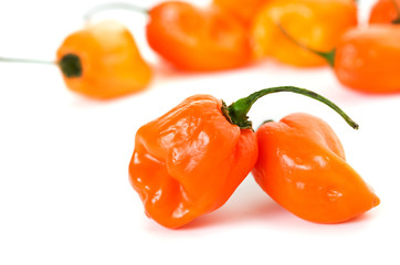 A group of hot habanero chili peppers.