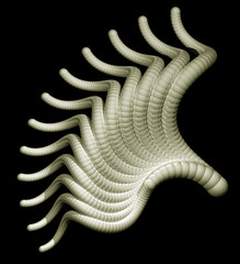 Abstract organic wave form on black background - 3d illustration