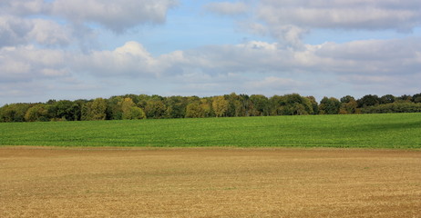 Champ cultivé,Aisne,picardie