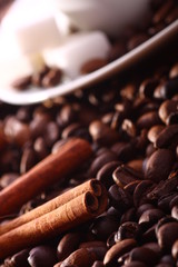 Cinnamon on coffee beans