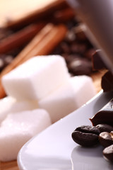Closeup of coffee beans