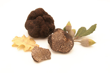 Truffes et feuilles