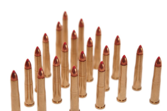 ammunition all in a row on a white background