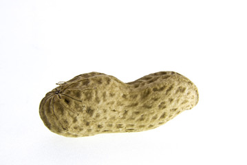 Erdnuss 081120