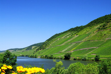 Moseltal bei Briedel