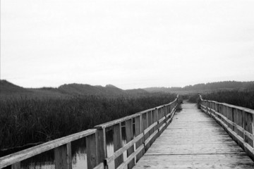 Fototapeta premium boardwalk on prince edward island