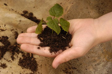 protegeons la nature