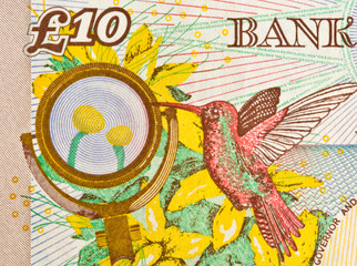Ten Pounds Sterling Bank Note