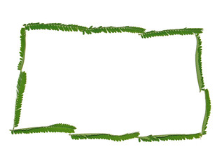 Obraz premium cadre vert