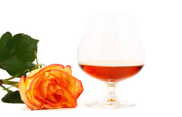 Glass of cognac and rose isolated on a white background