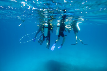 Divers at the surface, waiting to climb into the boat