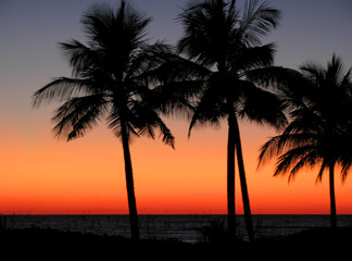 Fototapeta premium tropical sunset