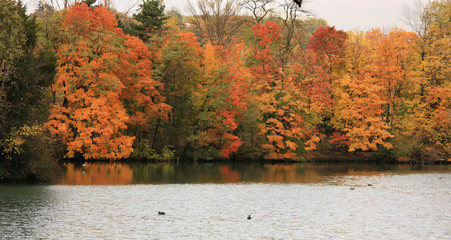 couleurs et reflets d'automne