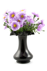 bouquet in a vase on a white background