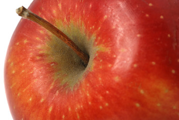 Apple close up