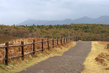 Fototapeta na wymiar shiretoko national park, hokkaido, japan